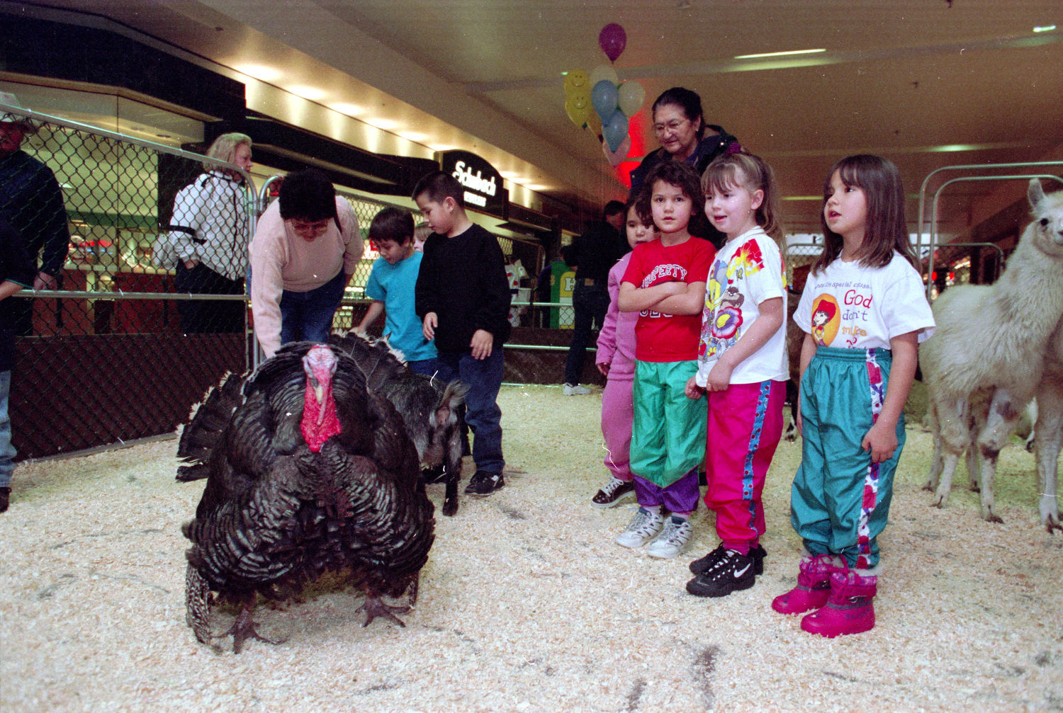 Petting zoo at Rimrock Mall, 1997